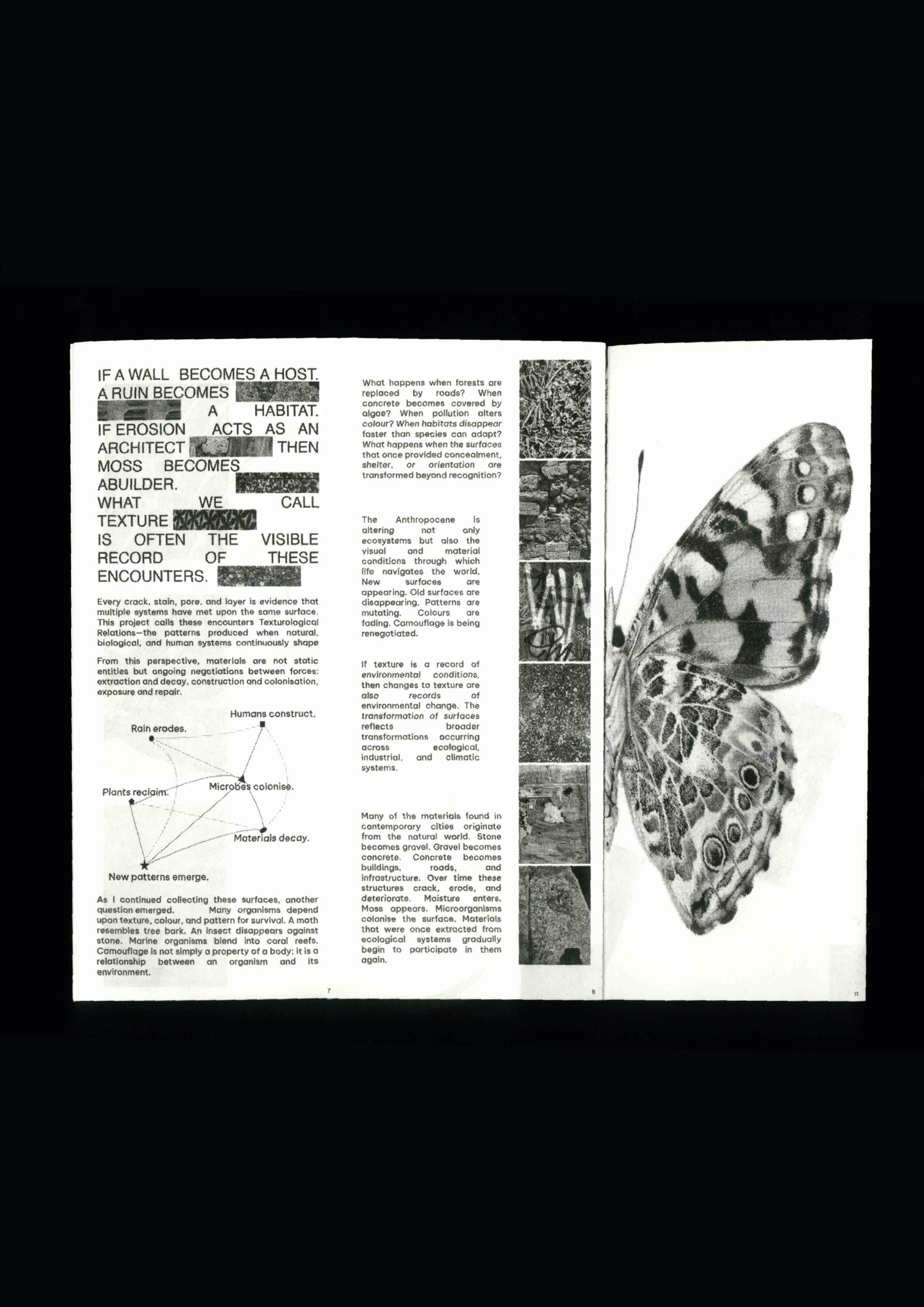 Textological Relation